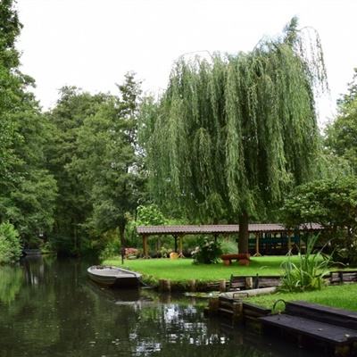 ob体育最新官网